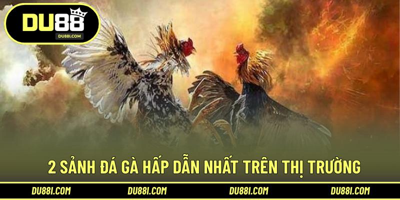 2 sảnh đá gà hấp dẫn nhất trên thị trường