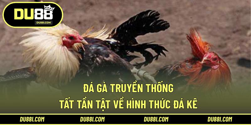 đá gà truyền thống