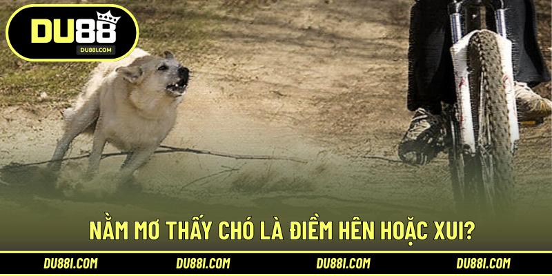 Nằm mơ thấy chó là điềm hên hoặc xui?