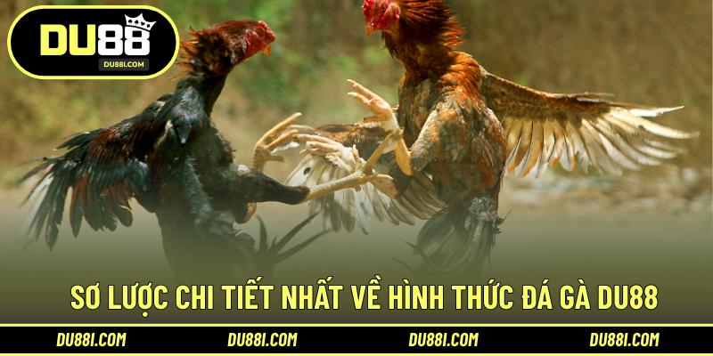 Sơ lược chi tiết nhất về hình thức đá gà DU88