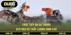 trực tiếp đá gà Thomo